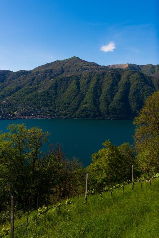 Tra Lago E Montagna Baita La Morena Nesso Exterior photo