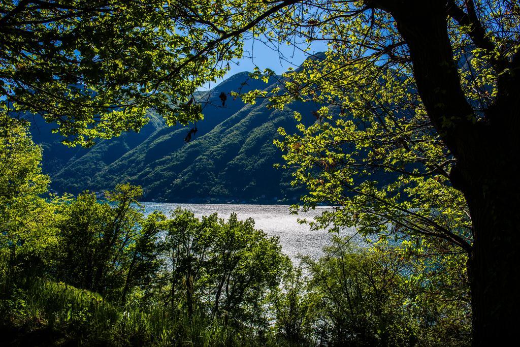 Tra Lago E Montagna Baita La Morena Nesso Exterior photo