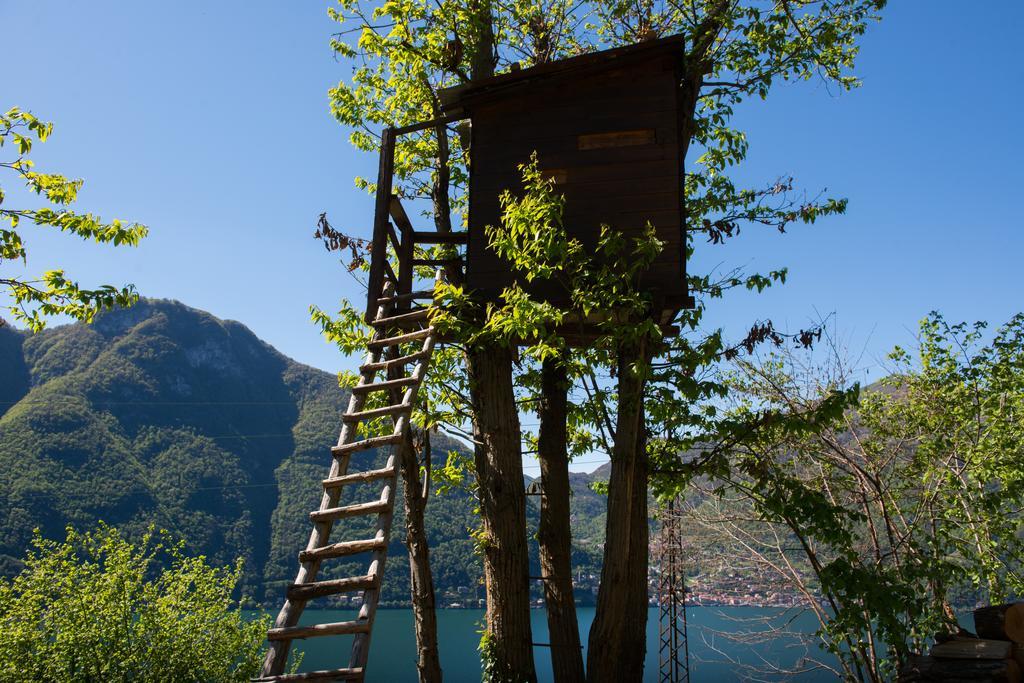 Tra Lago E Montagna Baita La Morena Nesso Exterior photo